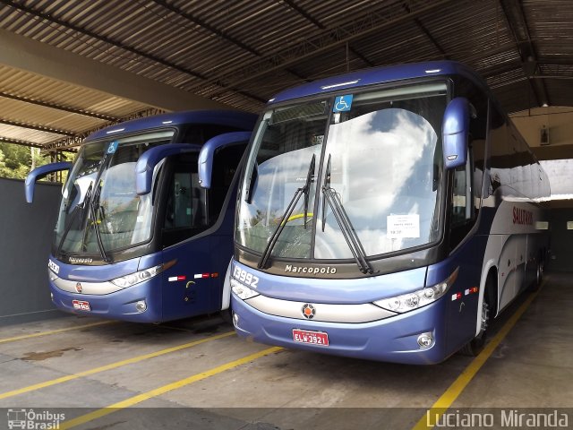 Viação Salutaris e Turismo 13992 na cidade de Ponte Nova, Minas Gerais, Brasil, por Luciano Miranda. Número da foto: #1236538.