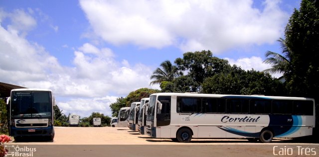 Viação Cordial Transportes e Turismo 913 na cidade de São Mateus, Espírito Santo, Brasil, por Caio Trés. Número da foto: #1237953.