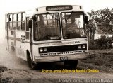 Guarany Transportes e Turismo 5265 na cidade de Goiânia, Goiás, Brasil, por Carlos Júnior. Número da foto: #1240105.
