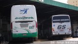 Empresa de Transportes Andorinha 6007 na cidade de Presidente Prudente, São Paulo, Brasil, por Renan Watanabe. Número da foto: #:id.