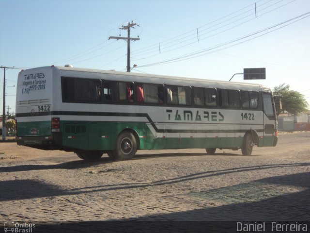 Tamares 1422 na cidade de Tucano, Bahia, Brasil, por Daniel  Ferreira. Número da foto: #1245376.