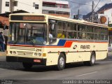 FAOL - Friburgo Auto Ônibus 294 na cidade de Nova Friburgo, Rio de Janeiro, Brasil, por Leandro de Sousa Barbosa. ID da foto: :id.