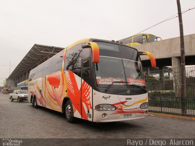 Atacama Vip  na cidade de Acrelândia, Acre, Brasil, por Diego Alarcon. Número da foto: #1249213.