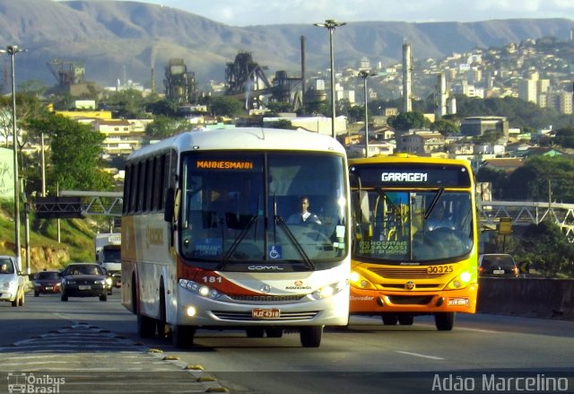 Rouxinol 181 na cidade de Belo Horizonte, Minas Gerais, Brasil, por Adão Raimundo Marcelino. ID da foto: 1252095.