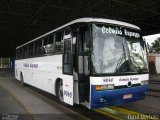 Colméia Expresso 9040 na cidade de São Bernardo do Campo, São Paulo, Brasil, por Raul Bertolo. Número da foto: #:id.