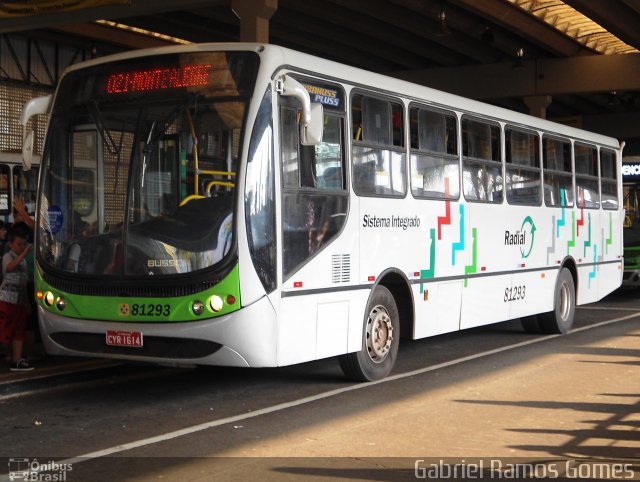 Viação Piracema de Transportes 81293 na cidade de Piracicaba, São Paulo, Brasil, por Gabriel Ramos Gomes. Número da foto: #1202920.