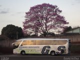Guerino Seiscento 1711 na cidade de Londrina, Paraná, Brasil, por David Arthur. Número da foto: #1203242.