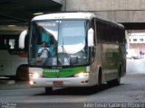 Pássaro Verde 26018 na cidade de Belo Horizonte, Minas Gerais, Brasil, por Julio Cesar Lacerda Ribeiro. Número da foto: #1208077.