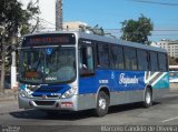 Auto Ônibus Fagundes RJ 101.025 na cidade de Niterói, Rio de Janeiro, Brasil, por Marcelo Candido de Oliveira. Número da foto: #1253777.