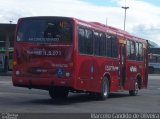Viação Araçatuba 1.5.071 na cidade de Niterói, Rio de Janeiro, Brasil, por Marcelo Candido de Oliveira. Número da foto: #1253746.