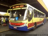 Circular Santa Luzia > Protetora Transportes 316 na cidade de São José do Rio Preto, São Paulo, Brasil, por Junin Keeyper. Número da foto: #:id.