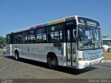 Transportes Litoral Rio C20100 na cidade de Rio de Janeiro, Rio de Janeiro, Brasil, por Renan Vieira. Número da foto: #1279760.