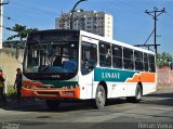 Linave Transportes 04196 na cidade de Nova Iguaçu, Rio de Janeiro, Brasil, por Renan Vieira. Número da foto: #1287753.