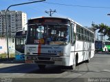 Transportes Blanco RJ 136.110 na cidade de Nova Iguaçu, Rio de Janeiro, Brasil, por Renan Vieira. Número da foto: #1288074.