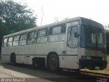 Ônibus Particulares 16L09 na cidade de Londrina, Paraná, Brasil, por Bruno Amaral. Número da foto: #1289963.
