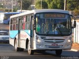 Ribe Transporte 1385 na cidade de Ribeirão Preto, São Paulo, Brasil, por Fernando Reis. ID da foto: :id.