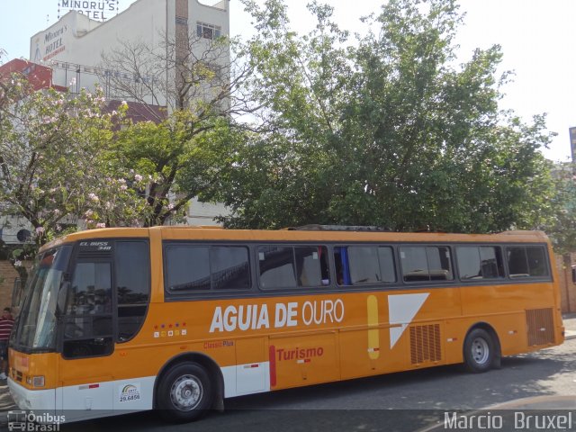 Águia de Ouro Turismo 9801 na cidade de Aparecida, São Paulo, Brasil, por Marcio  Bruxel. Número da foto: #1294433.