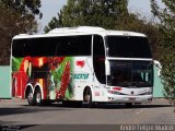 Eucatur - Empresa União Cascavel de Transportes e Turismo 4109 na cidade de Curitiba, Paraná, Brasil, por André Felipe Mudrei. Número da foto: #1299759.