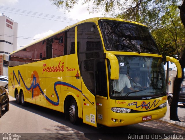 Pacanhã Turismo 1200 na cidade de Fortaleza, Ceará, Brasil, por Adriano dos Santos. Número da foto: #1304827.