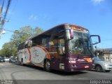 Bergabus Turismo 1700 na cidade de Pelotas, Rio Grande do Sul, Brasil, por Felipe Alves. Número da foto: #1311577.