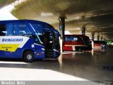 Terminais Rodoviários e Urbanos UBERLâNDIA-MG   na cidade de Uberlândia, Minas Gerais, Brasil, por Newton Vitorino Neto. Número da foto: #1257588.
