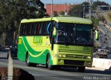 Flecha Turismo 2001 na cidade de Belo Horizonte, Minas Gerais, Brasil, por Adão Raimundo Marcelino. Número da foto: #1315474.