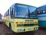 Transportes São Lucas 1300 na cidade de Januária, Minas Gerais, Brasil, por Thiago  Pacheco. Número da foto: #1313885.
