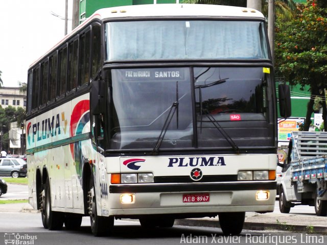 Pluma Conforto e Turismo 3444 na cidade de Santos, São Paulo, Brasil, por Adam Xavier Rodrigues Lima. Número da foto: #1261211.