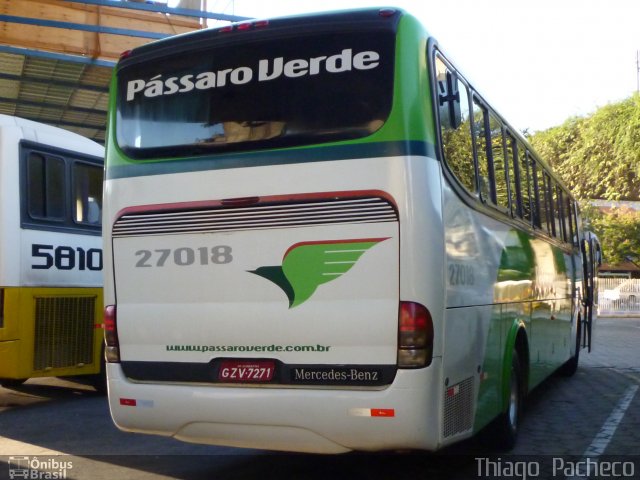 Pássaro Verde 27018 na cidade de Belo Horizonte, Minas Gerais, Brasil, por Thiago  Pacheco. ID da foto: 1268235.